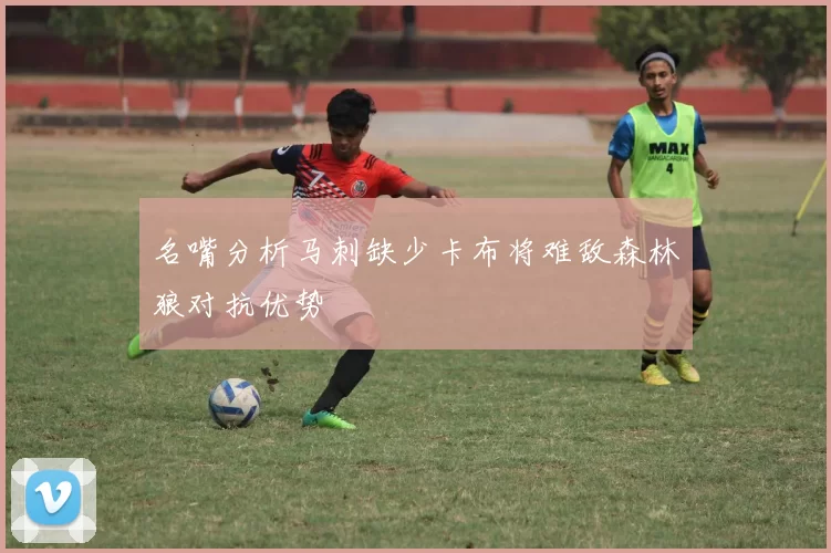 名嘴分析马刺缺少卡布将难敌森林狼对抗优势